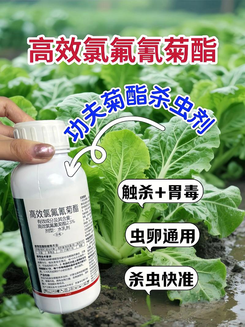 安阳代生中心:农药对供卵代生妈妈的危害